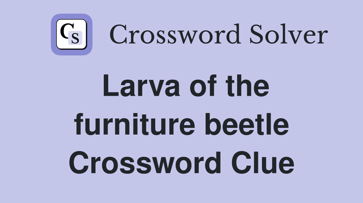 Larva of the furniture beetle Crossword Clue