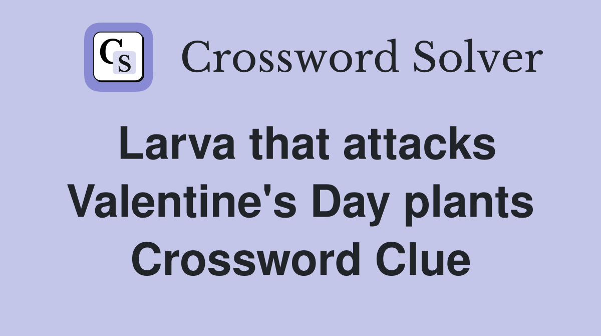 Larva that attacks Valentine's Day plants Crossword Clue
