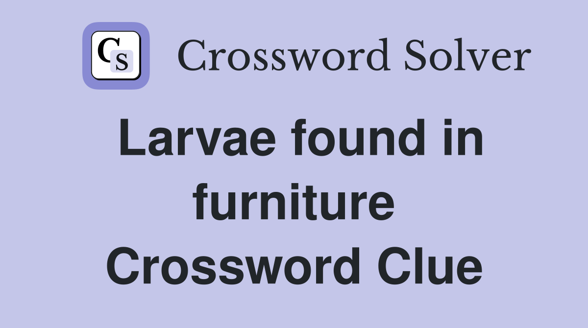 Larvae found in furniture Crossword Clue