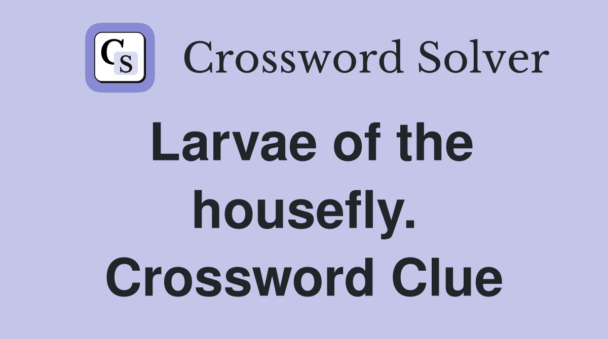 Larvae of the housefly. Crossword Clue