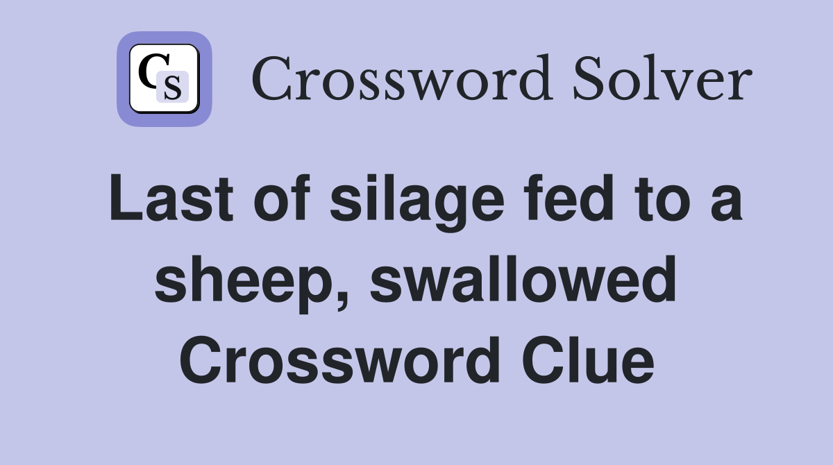 Last of silage fed to a sheep, swallowed Crossword Clue