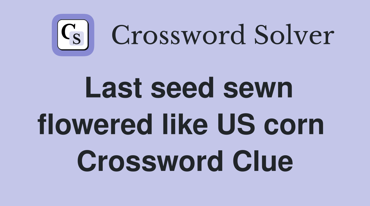 Last seed sewn flowered like US corn  Crossword Clue