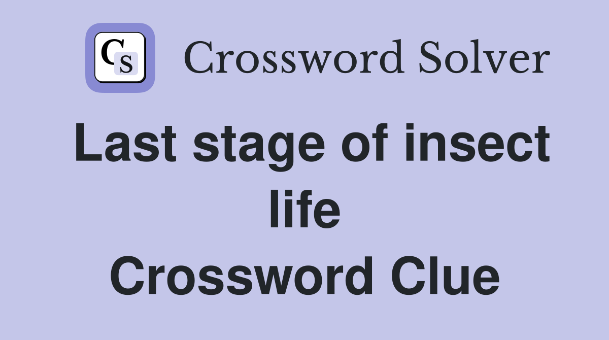 Last stage of insect life Crossword Clue