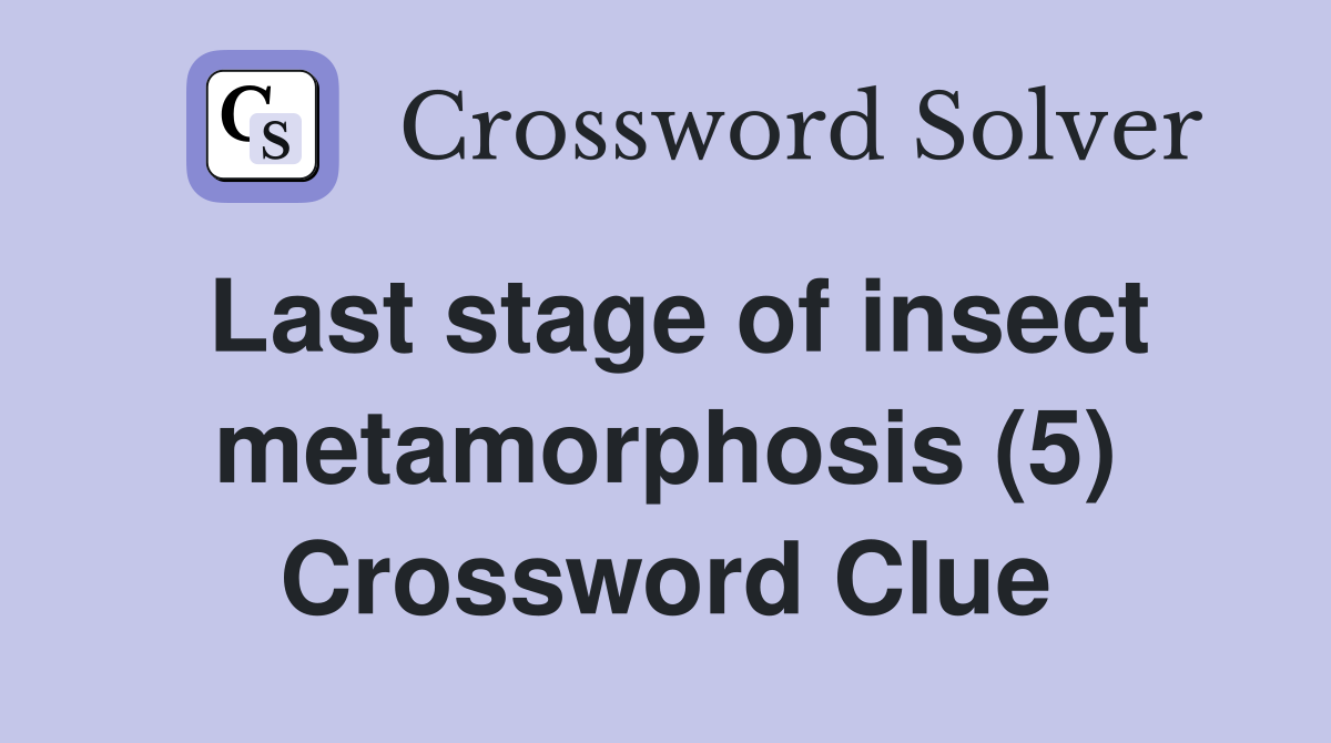 Last stage of insect metamorphosis (5) Crossword Clue