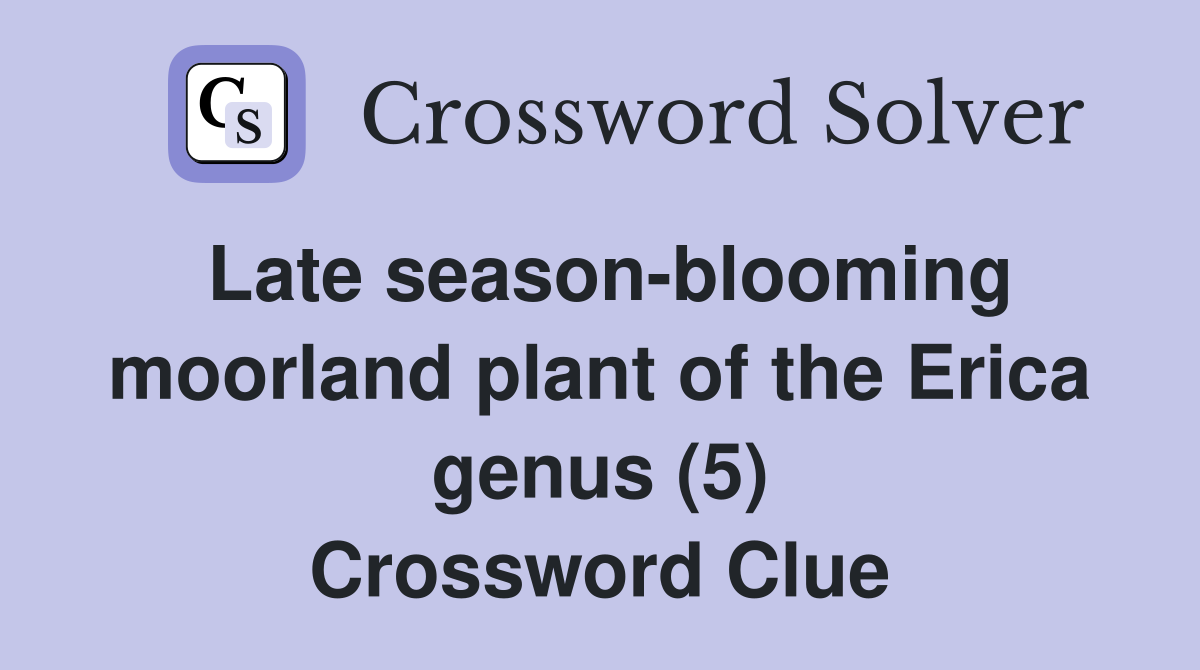 Late season-blooming moorland plant of the Erica genus (5) Crossword Clue