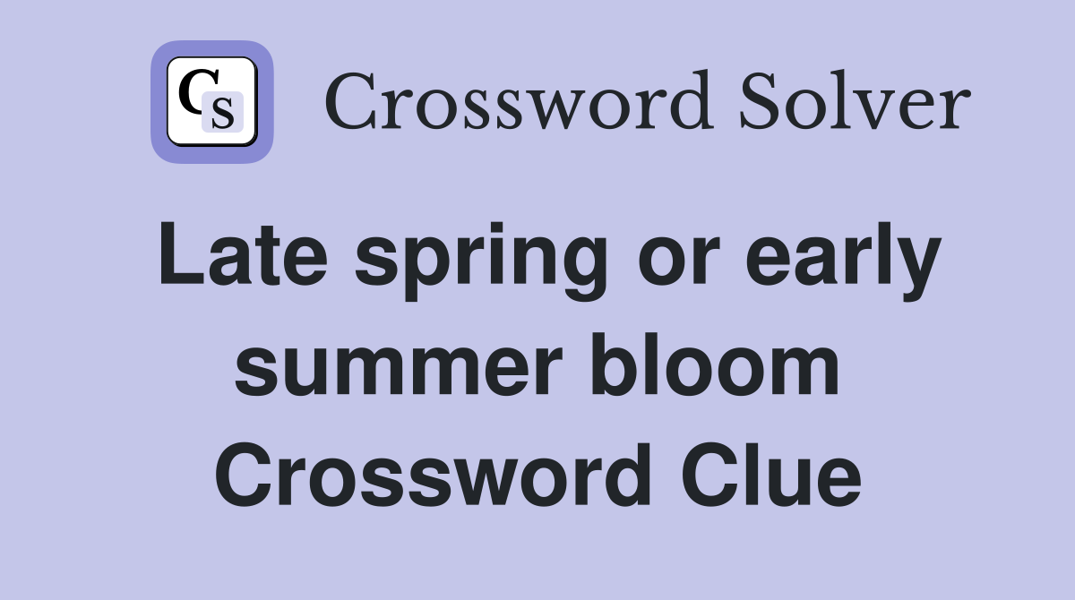 Late spring or early summer bloom Crossword Clue