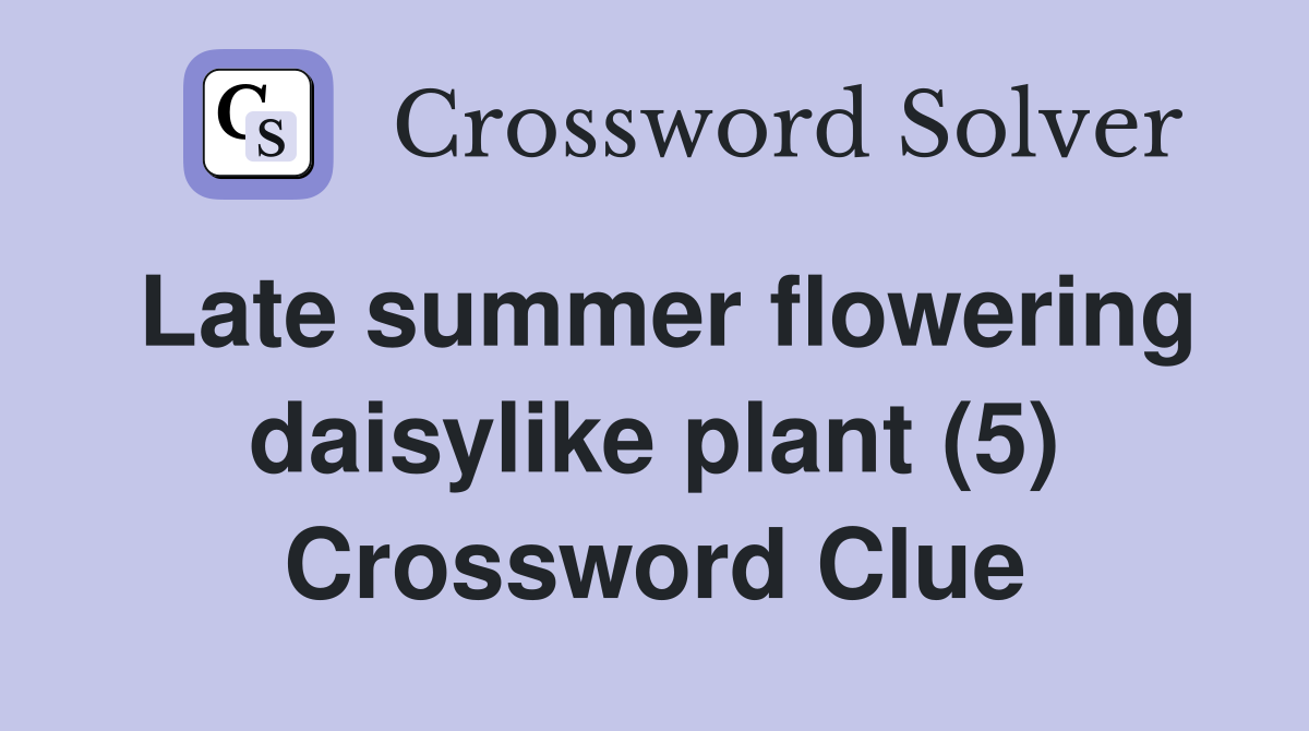 Late summer flowering daisylike plant (5) Crossword Clue