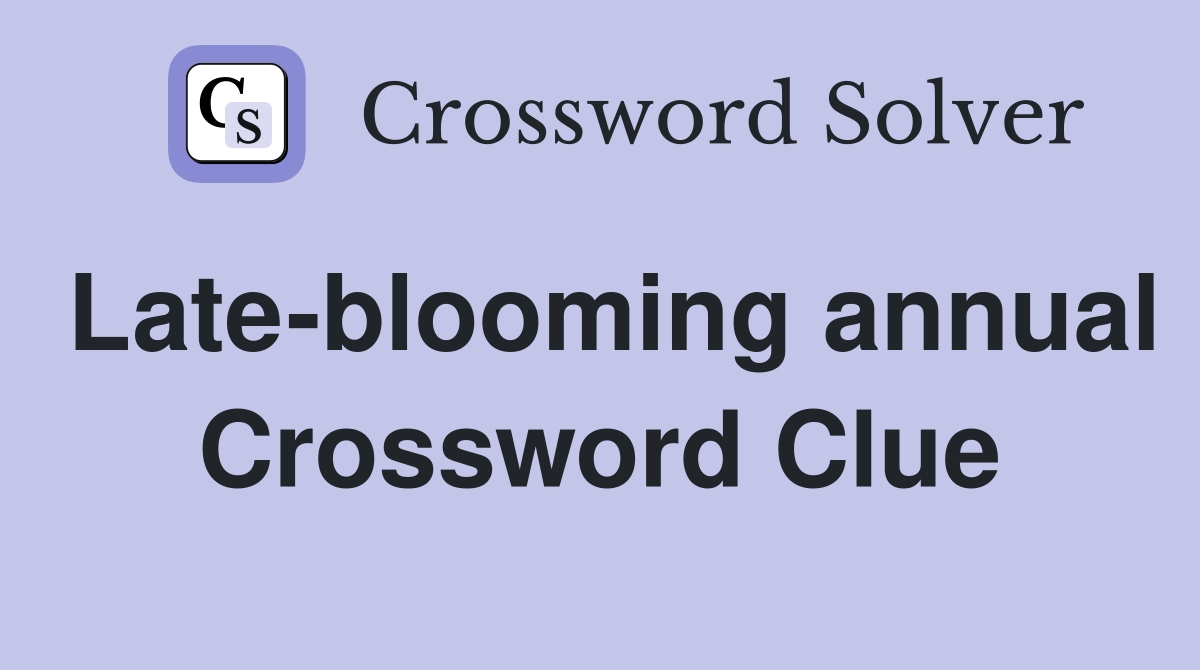 Late-blooming annual Crossword Clue