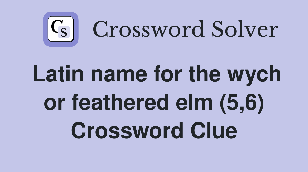 Latin name for the wych or feathered elm (5,6) Crossword Clue