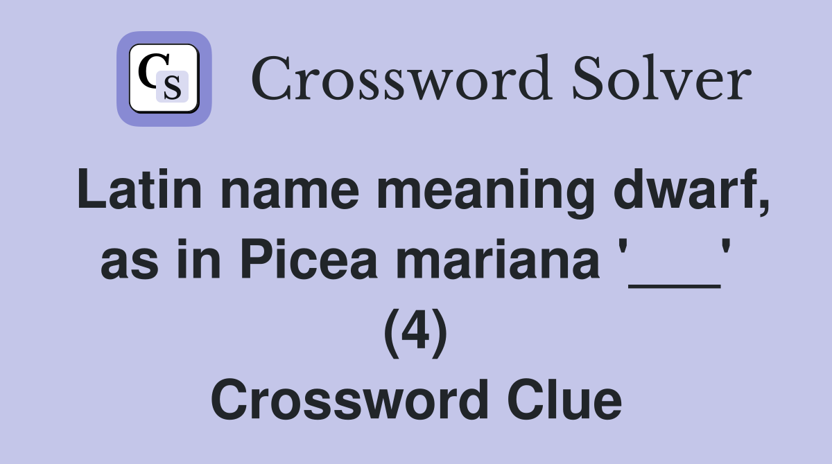 Latin name meaning dwarf, as in Picea mariana '___' (4) Crossword Clue