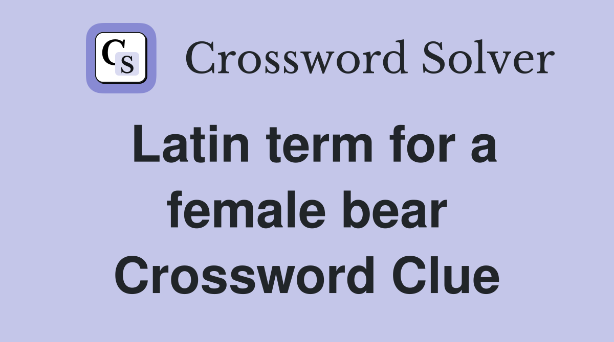 Latin term for a female bear Crossword Clue