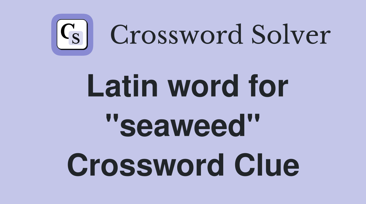 Latin word for ''seaweed'' Crossword Clue