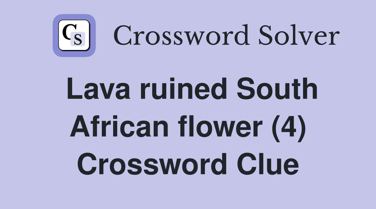 Lava ruined South African flower (4) Crossword Clue