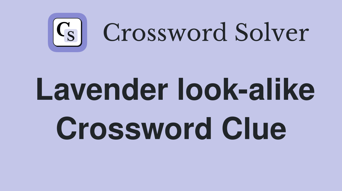 Lavender look-alike Crossword Clue