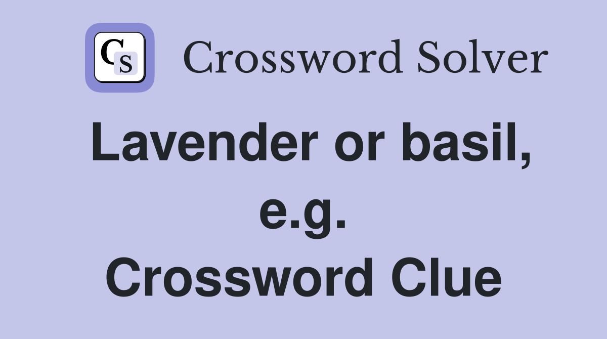 Lavender or basil, e.g. Crossword Clue