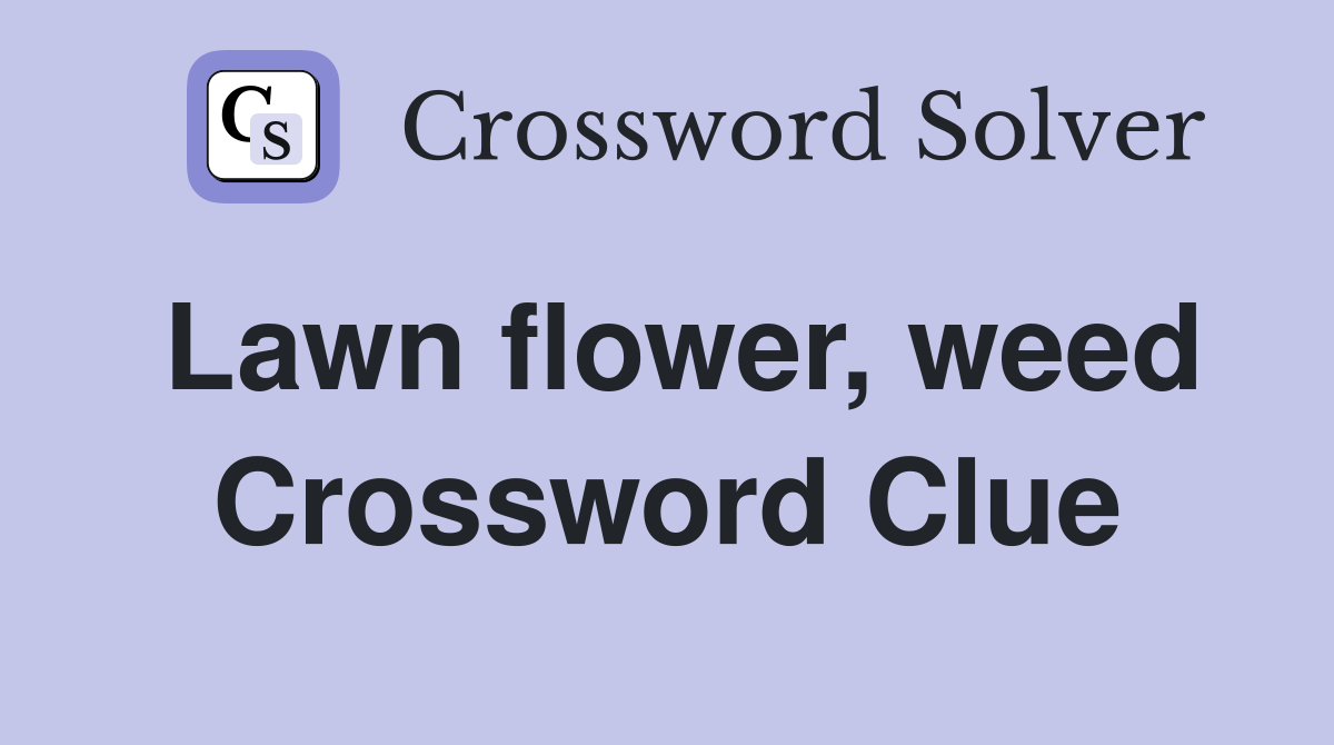 Lawn flower, weed Crossword Clue