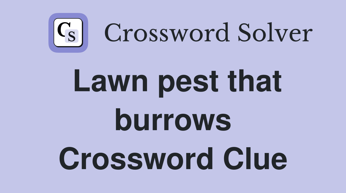 Lawn pest that burrows Crossword Clue