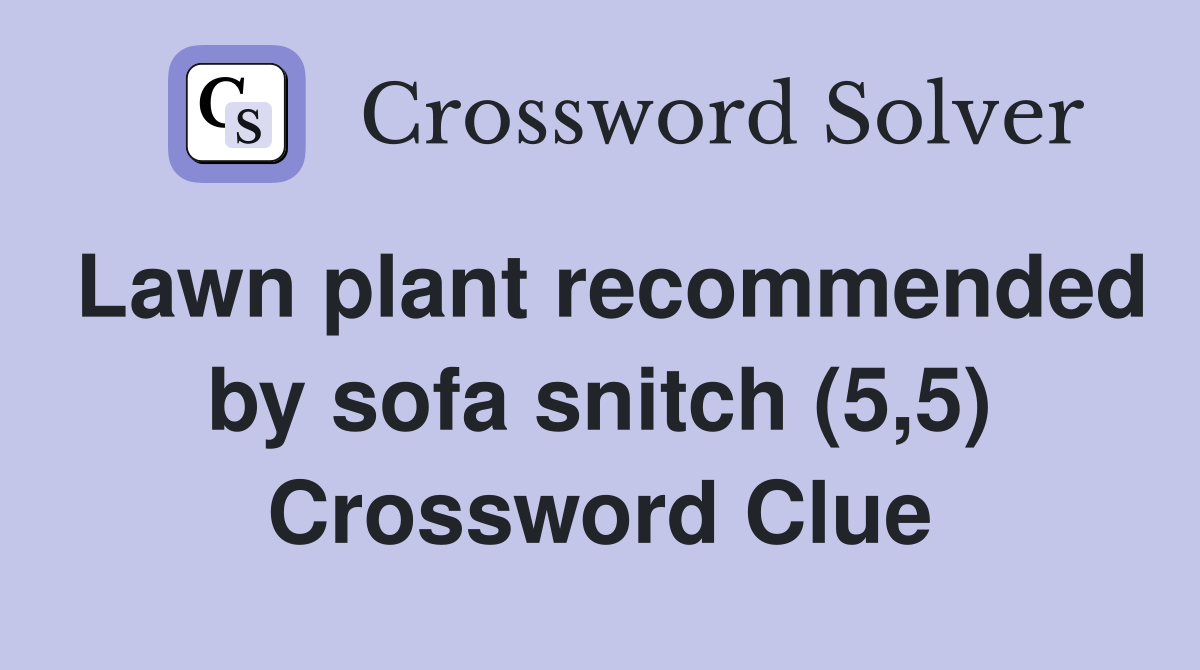 Lawn plant recommended by sofa snitch (5,5) Crossword Clue