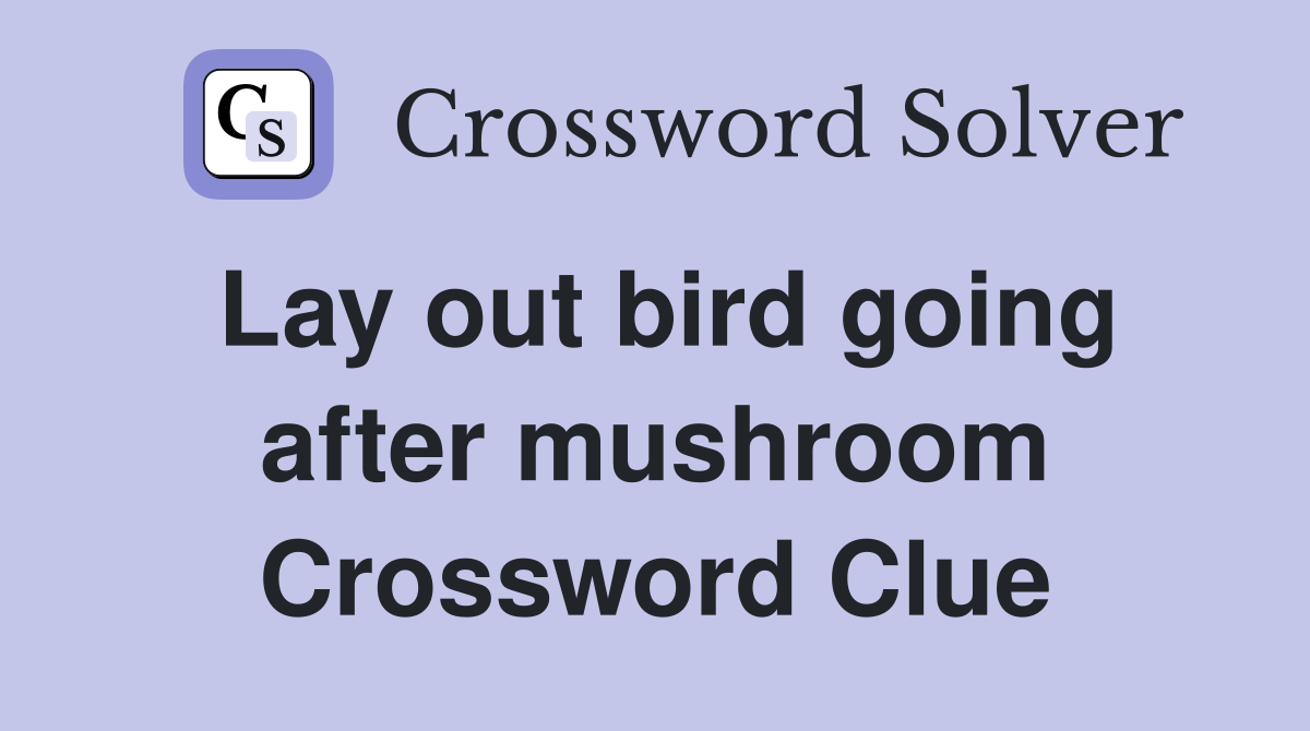 Lay out bird going after mushroom Crossword Clue