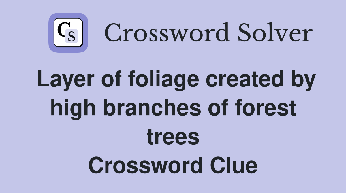 Layer of foliage created by high branches of forest trees Crossword Clue