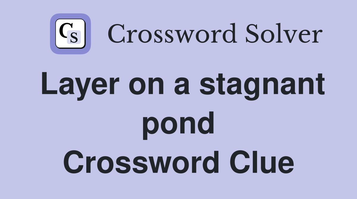 Layer on a stagnant pond Crossword Clue