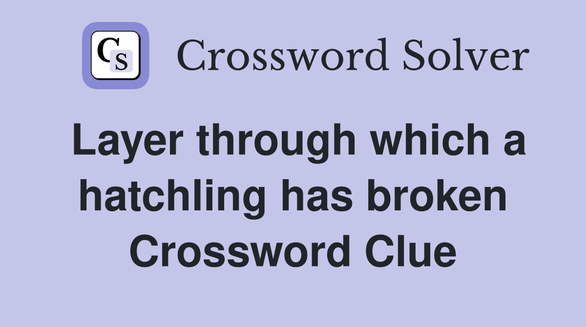 Layer through which a hatchling has broken Crossword Clue