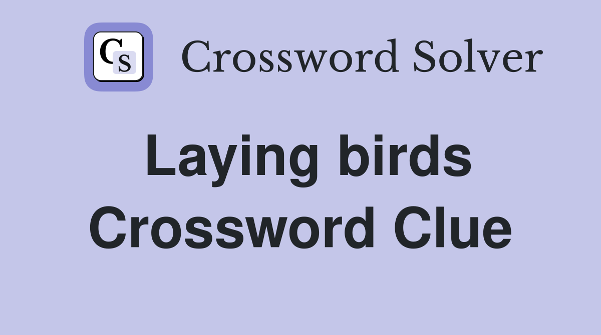 Laying birds Crossword Clue