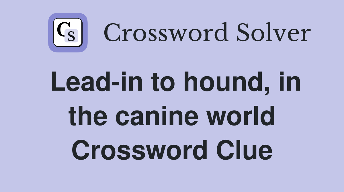 Lead-in to hound, in the canine world Crossword Clue