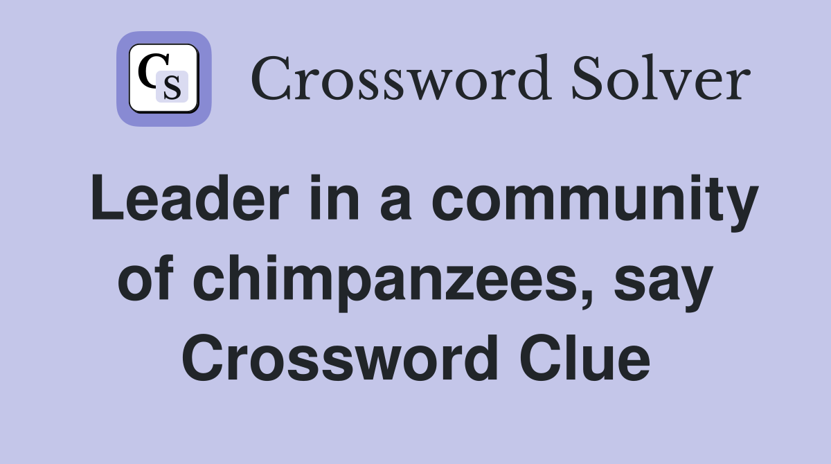 Leader in a community of chimpanzees, say Crossword Clue