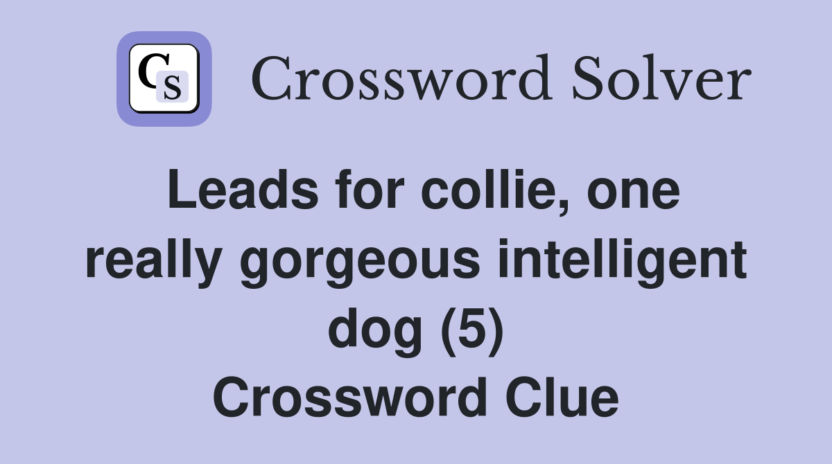 Leads for collie, one really gorgeous intelligent dog (5) Crossword Clue