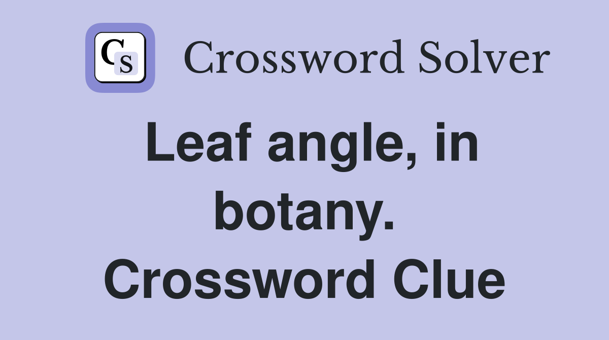 Leaf angle, in botany. Crossword Clue