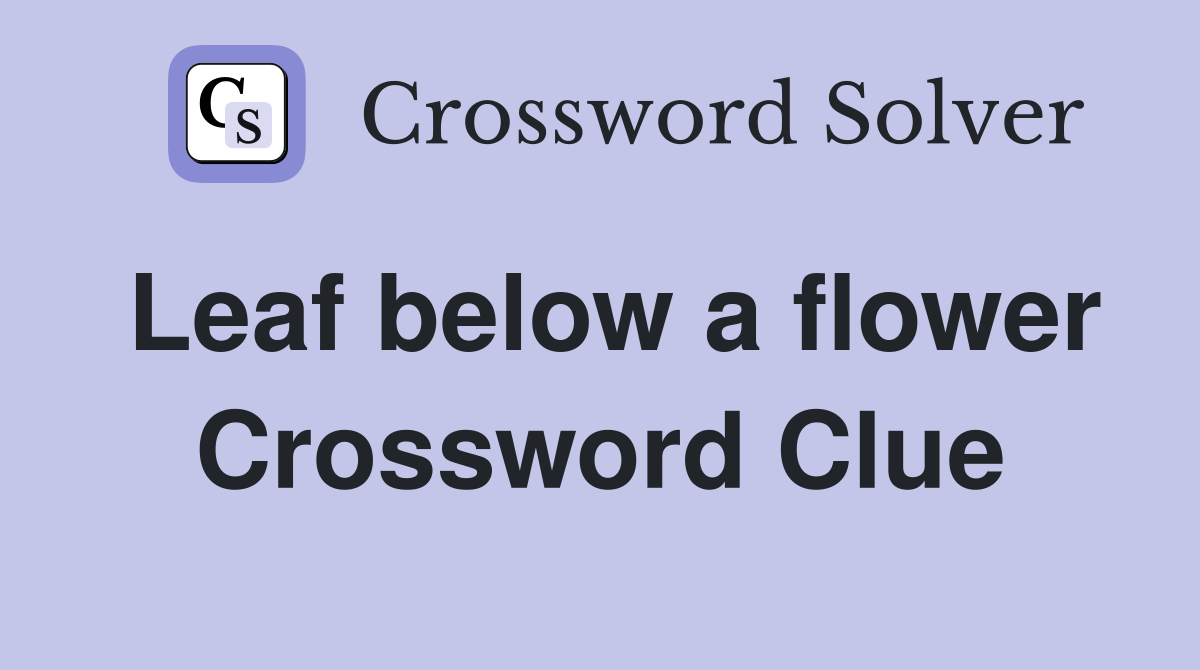 Leaf below a flower Crossword Clue