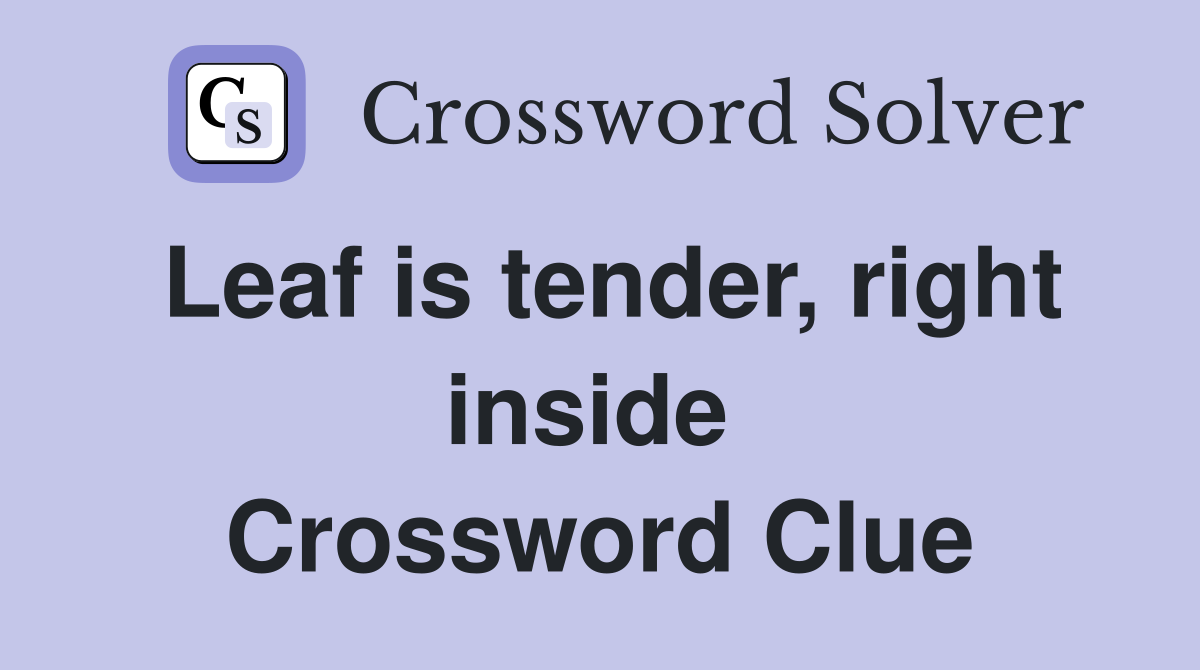 Leaf is tender, right inside  Crossword Clue