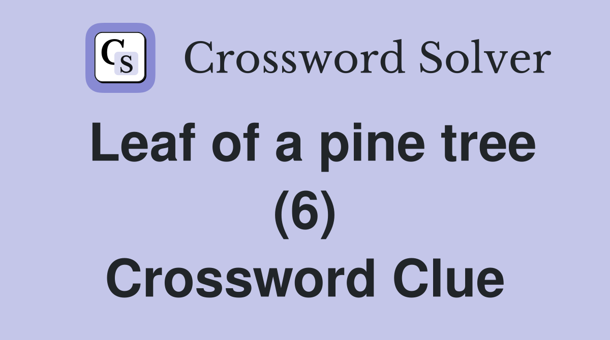 Leaf of a pine tree (6) Crossword Clue