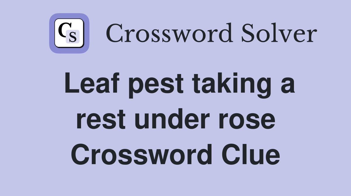 Leaf pest taking a rest under rose Crossword Clue