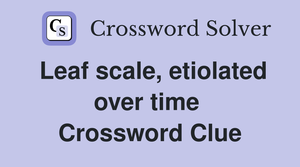 Leaf scale, etiolated over time  Crossword Clue