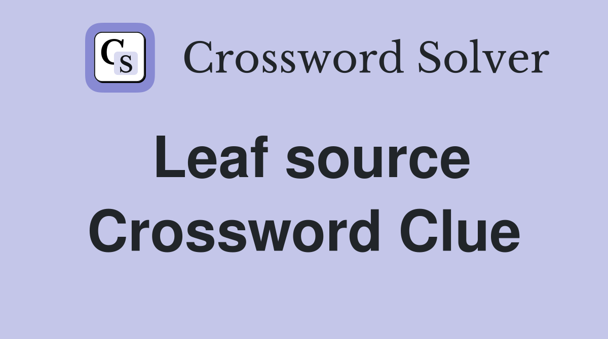 Leaf source Crossword Clue