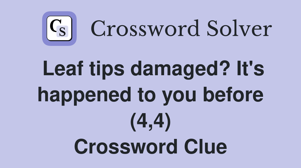 Leaf tips damaged? It's happened to you before (4,4) Crossword Clue