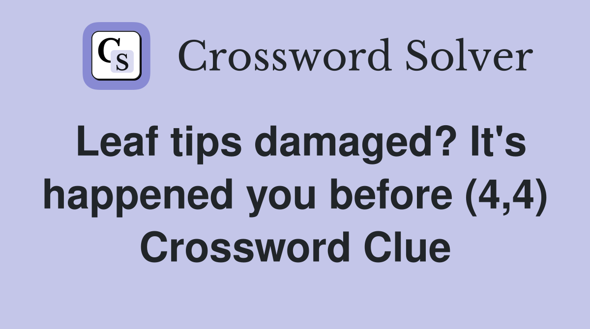 Leaf tips damaged? It's happened you before (4,4) Crossword Clue