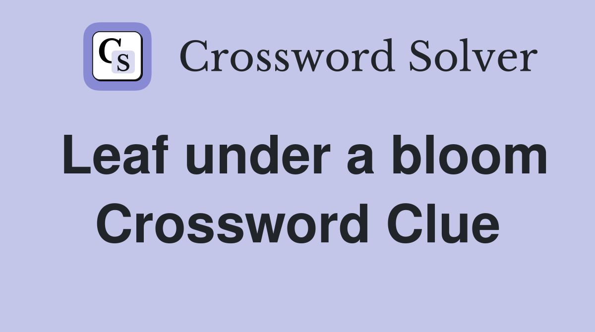 Leaf under a bloom Crossword Clue