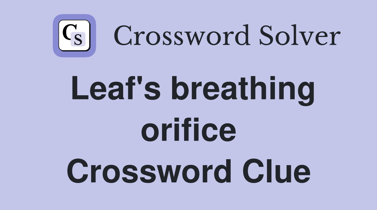 Leaf's breathing orifice Crossword Clue