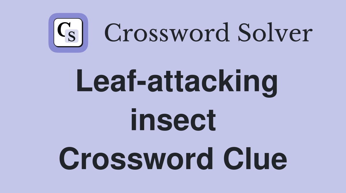 Leaf-attacking insect Crossword Clue