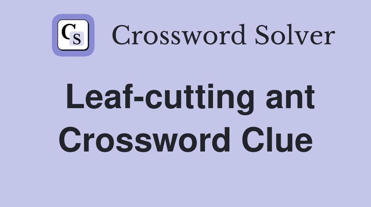 Leaf-cutting ant Crossword Clue