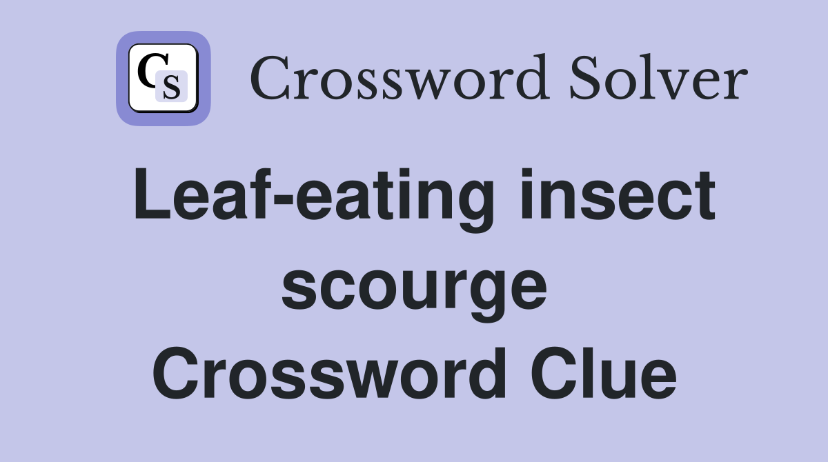 Leaf-eating insect scourge Crossword Clue
