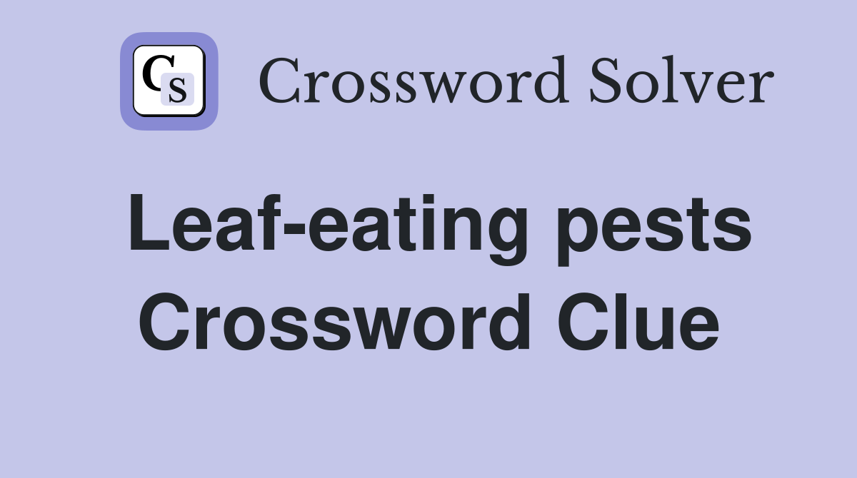 Leaf-eating pests Crossword Clue