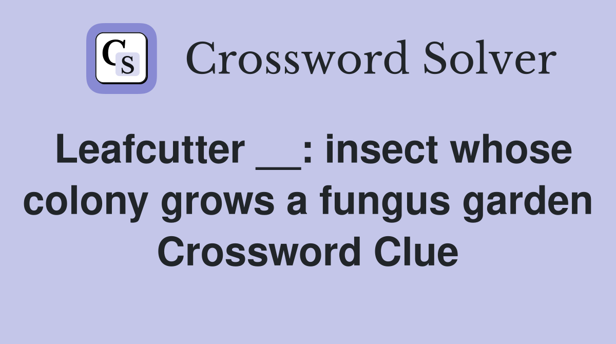 Leafcutter __: insect whose colony grows a fungus garden Crossword Clue