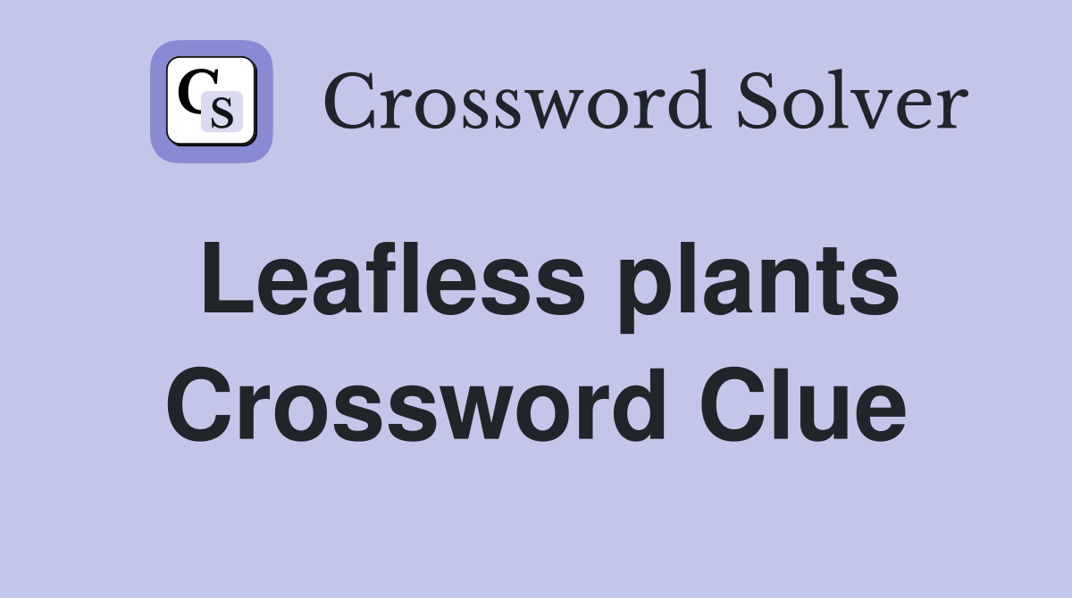 Leafless plants Crossword Clue