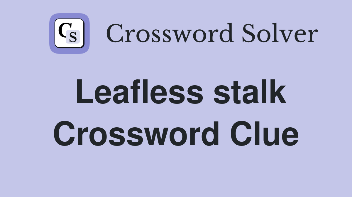 Leafless stalk Crossword Clue