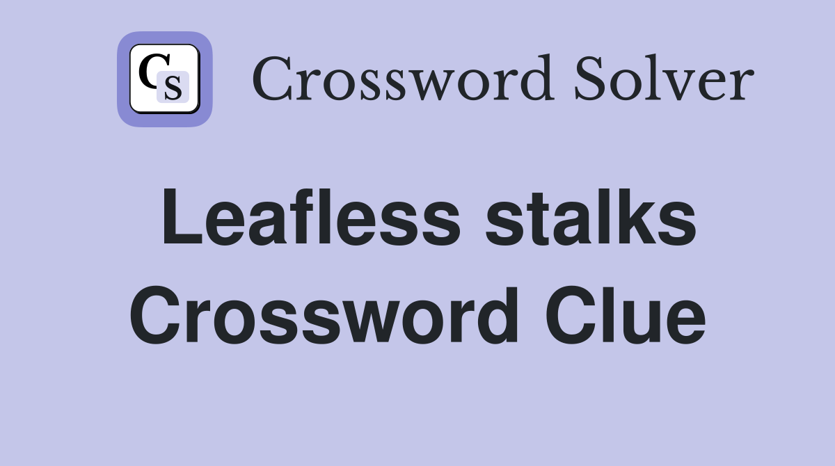 Leafless stalks Crossword Clue