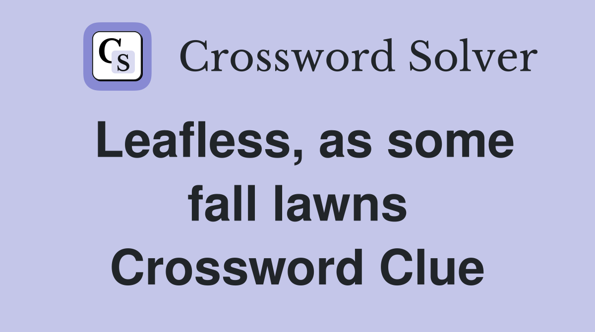 Leafless, as some fall lawns Crossword Clue